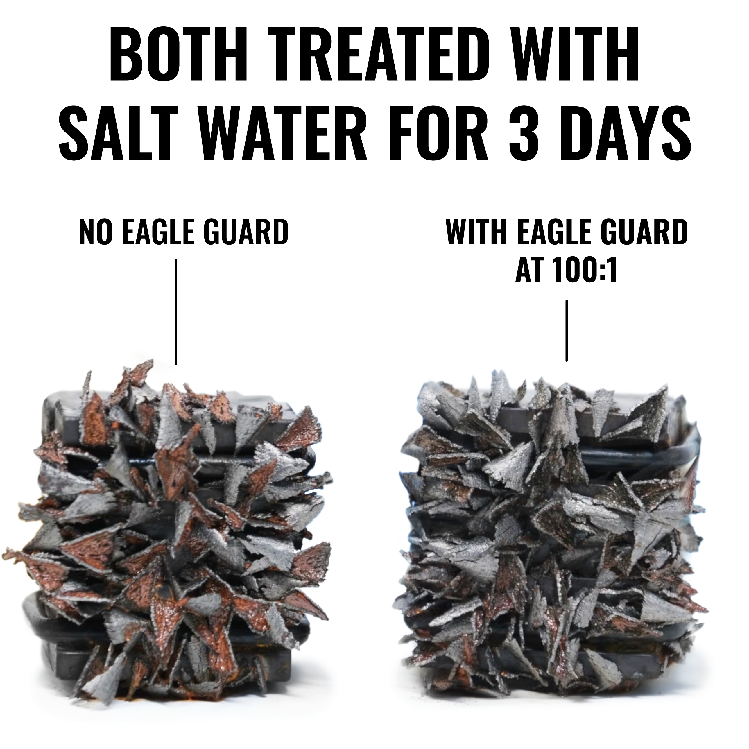 Eagle Guard: Salt Neutralizer + Rust Inhibitor - Chem-X