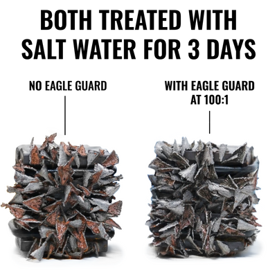 Eagle Guard: Salt Neutralizer + Rust Inhibitor - Chem-X